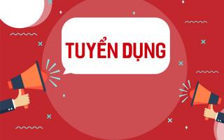 Doanh nghiệp Việt Nam tốt nhất để nộp hồ sơ xin việc