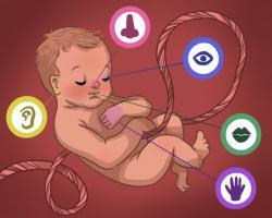 Cách giúp trẻ sơ sinh giao tiếp và cảm nhận mọi thứ tốt nhất từ trong bụng mẹ