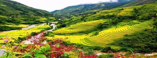 Lí do khiến bạn muốn đi du lịch Sapa ngay lập tức