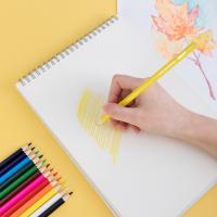 Loại chì màu khô tốt nhất hiện nay