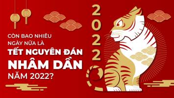 Lời chúc Tết cho đồng nghiệp hay và ý nghĩa nhất