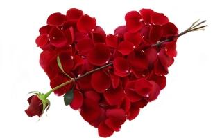 Lời chúc Valentine 14/2 hay và ý nghĩa nhất