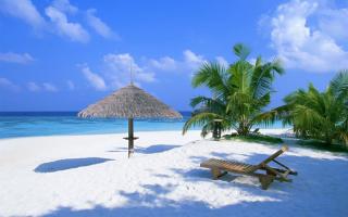 Lợi ích tuyệt vời của tắm biển