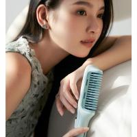 Thương hiệu lược điện được mọi người ưa chuộng nhất hiện nay