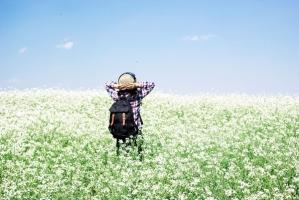 Bài hát truyền cảm hứng cho bạn phải vác balo lên và đi