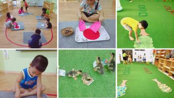 Trường mầm non tốt nhất tại Phan Thiết, Bình Thuận.
