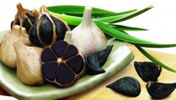 Máy làm tỏi đen chất lượng nhất trên thị trường