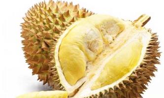Món ăn làm từ sầu riêng và cách làm đơn giản