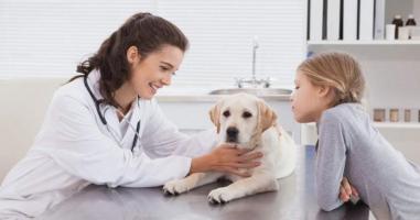 Phòng khám thú y uy tín nhất tỉnh Đồng Tháp
