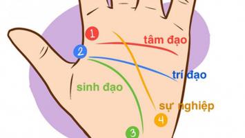 Quyển sách dạy xem chỉ tay đơn giản, dễ hiểu nhất