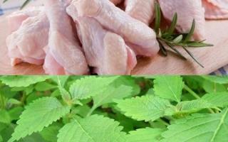 Thực phẩm kiêng kỵ thịt gà bạn cần biết