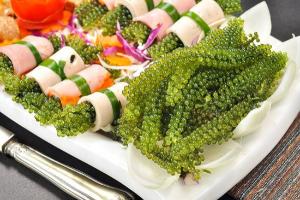 Sản phẩm rong nho tách nước chất lượng nhất hiện nay