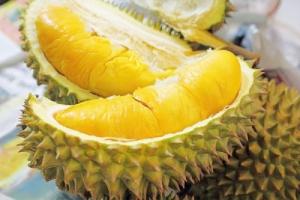 Sự thật thú vị về sầu riêng khiến bạn không thể ngờ