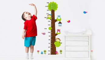 Thực phẩm giúp phát triển chiều cao