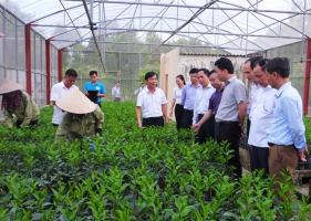 Trung tâm giống cây trồng uy tín nhất tại Miền Bắc