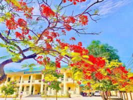 Trường THCS hàng đầu thị xã Hoàng Mai, Nghệ An