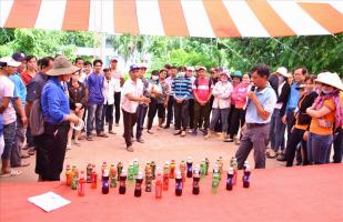 Lý do chúng ta không thể đánh bại các trò chơi trong lễ hội phổ biến