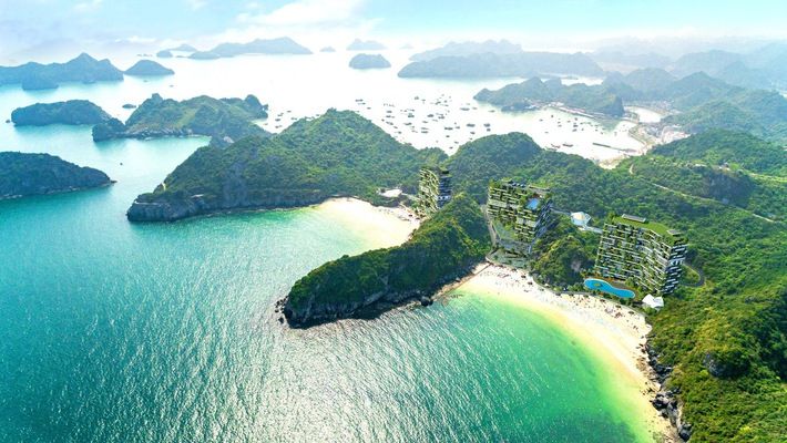 Đảo Cát Bà