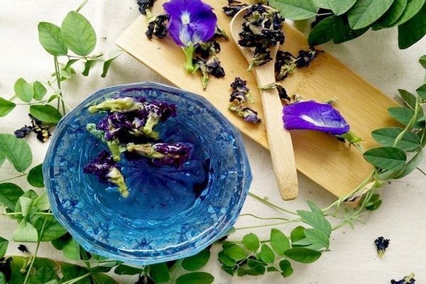 Lưu ý khi sử dụng hoa đậu biếc