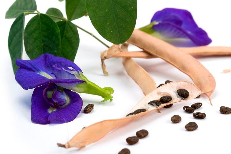 Ngăn ngừa, hỗ trợ điều trị ung thư
