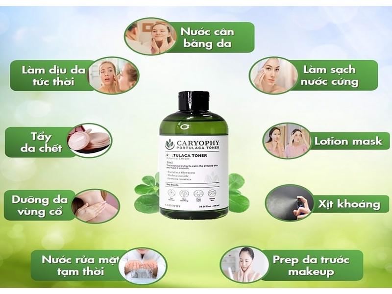 Bộ chăm sóc da mụn Caryophy Portulaca