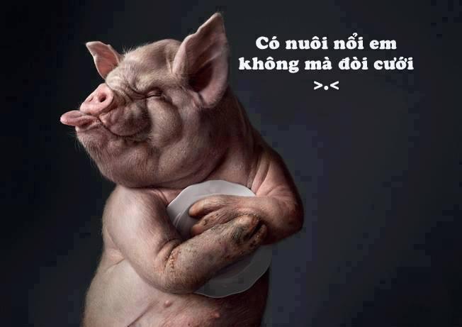 Có nuôi nổi hông mà đòi cưới?