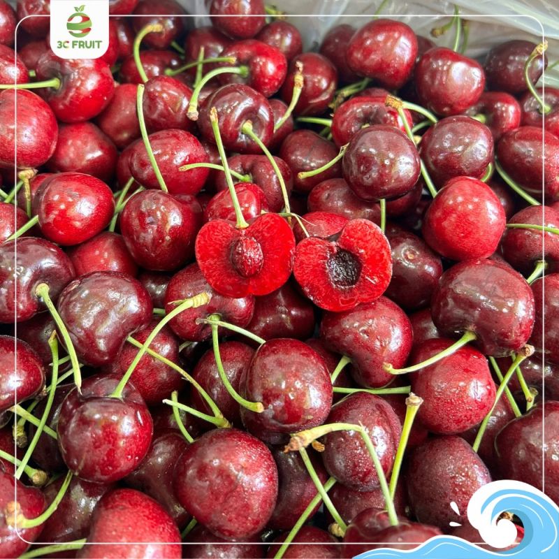 3C Fruit Hải Phòng