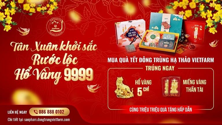 9999 Tết
