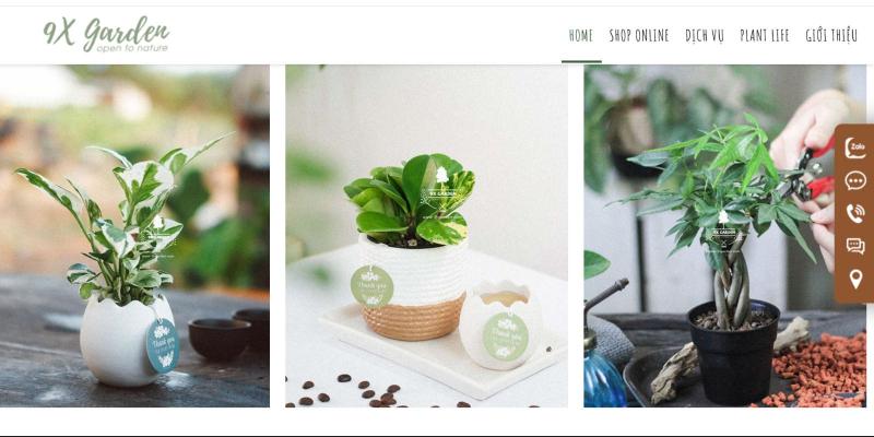 9X Garden cung cấp một loạt cây cảnh đa dạng