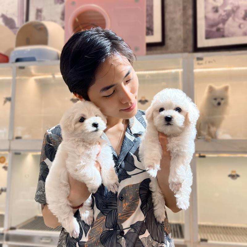 AiNi Pet