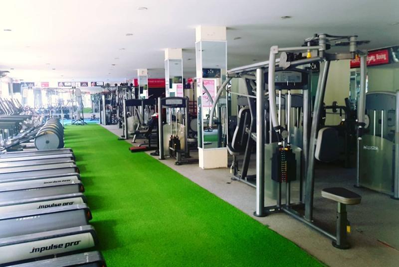 AKC Fitness Plus