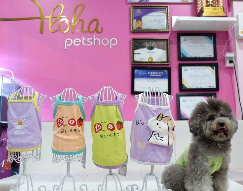ALOHA Petshop Nha Trang