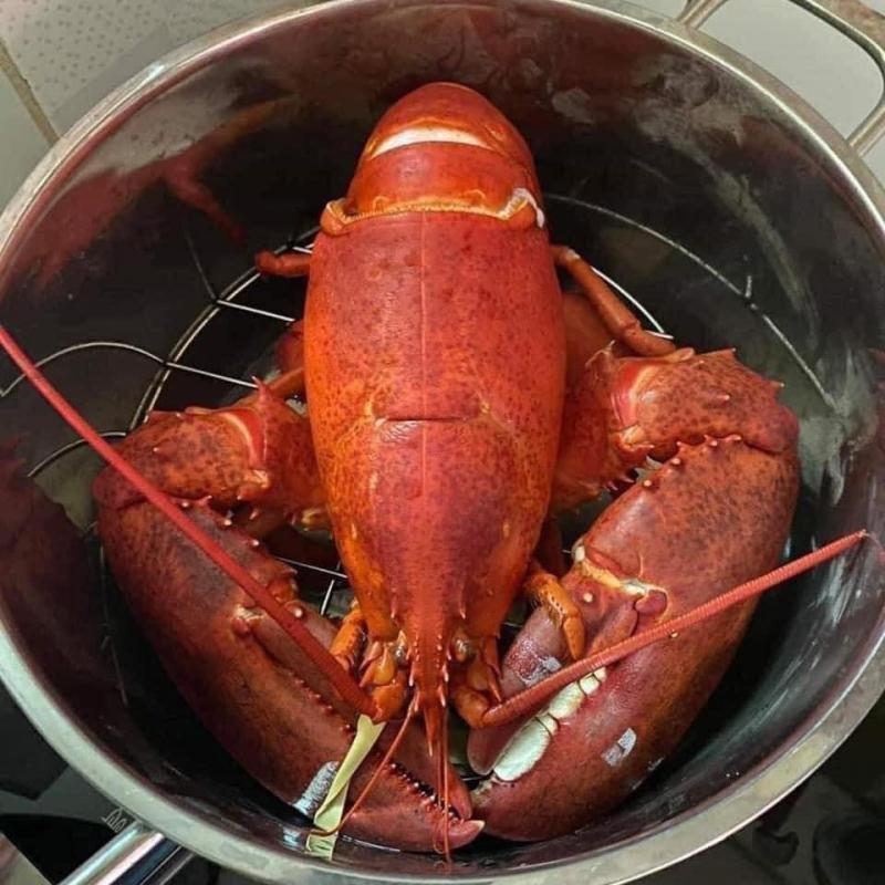 Luxuryfoods