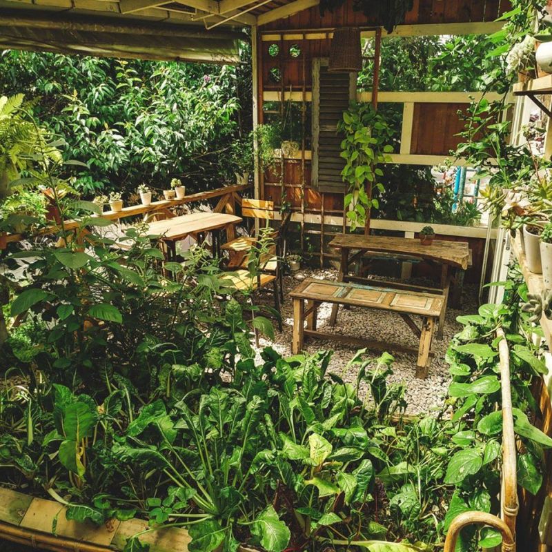 Cùng hòa mình với thiên nhiên
