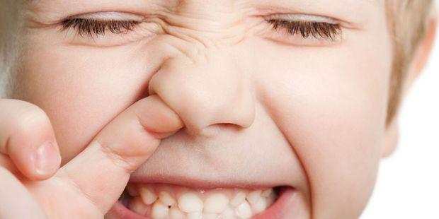 Ăn gỉ mũi tốt cho sức khỏe