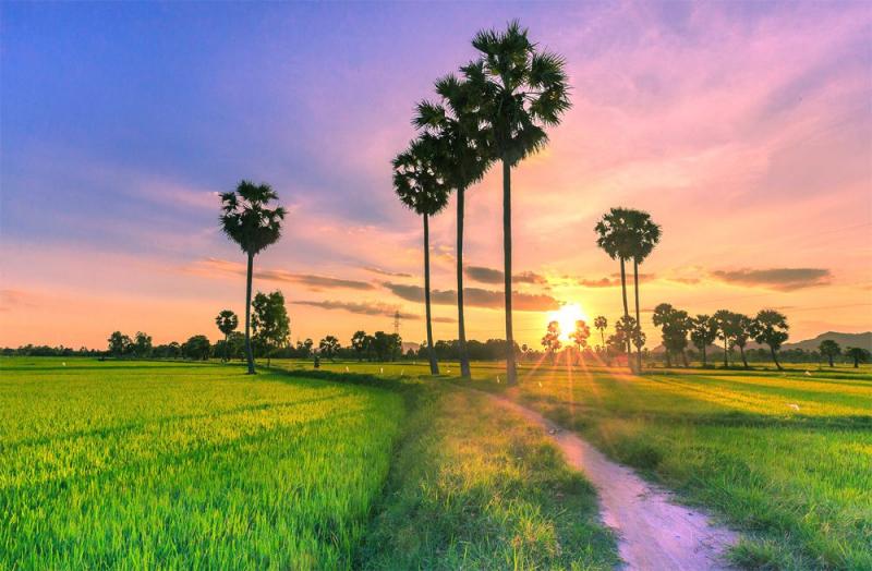 An Giang quê nhà