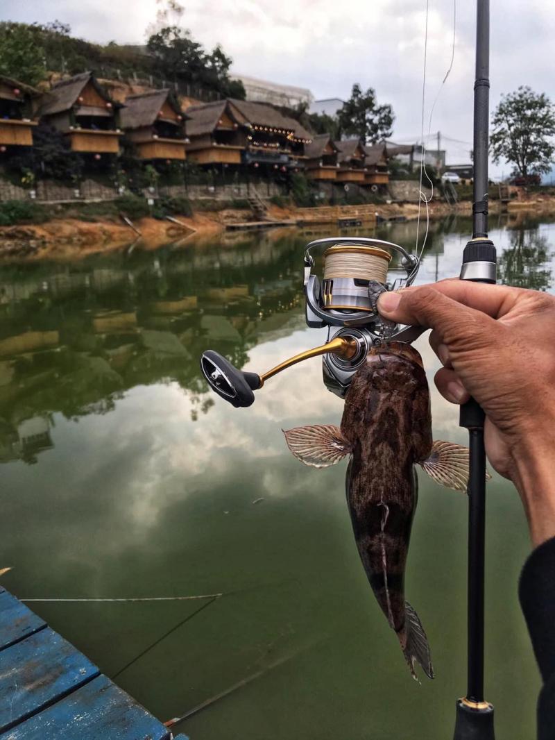 An Sơn Hồ