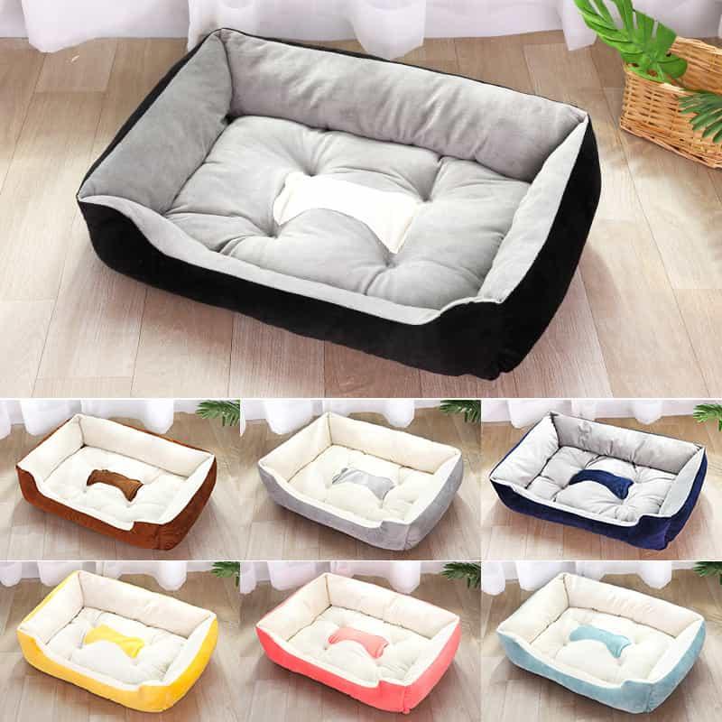 Ana Pet Family Huế