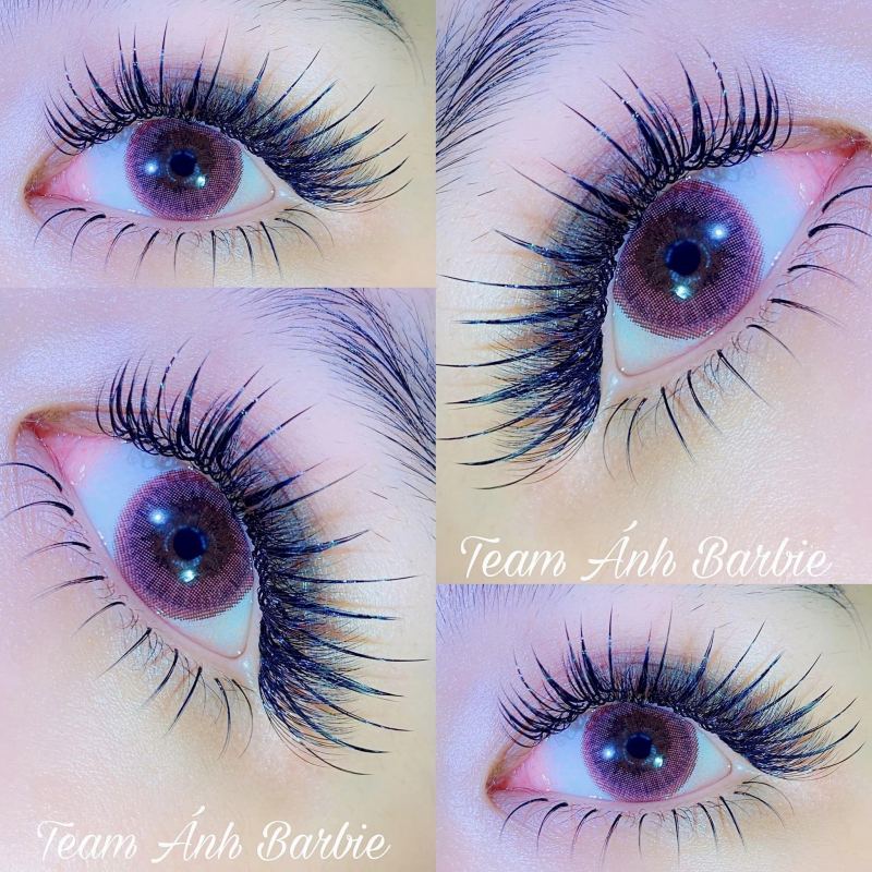 Ánh Barbie Eyelash Academy