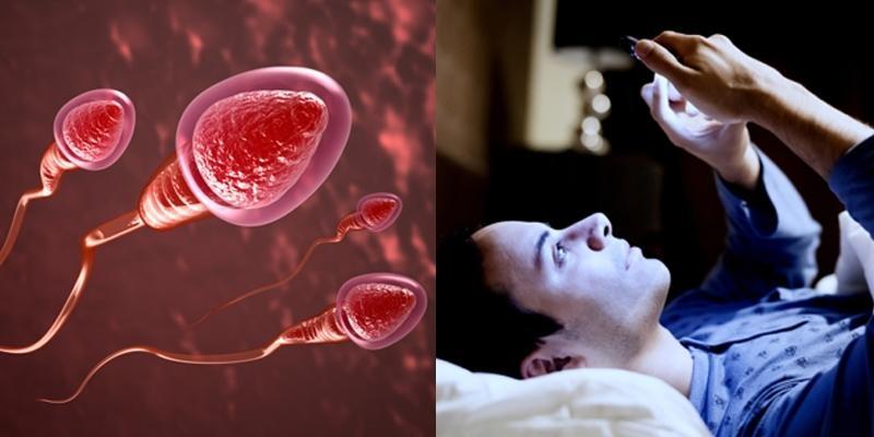 Điện thoại đi động ảnh hưởng xấu đến chất lượng tinh trùng