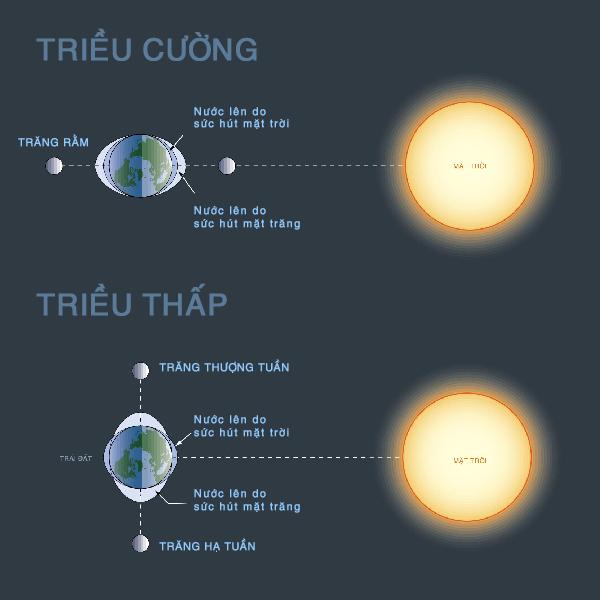 Thủy triều sẽ giảm đi 60% nếu không có ảnh hưởng từ mặt trăng