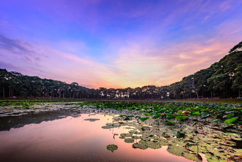 Vẻ đẹp ngây ngất tại Ao Bà Om