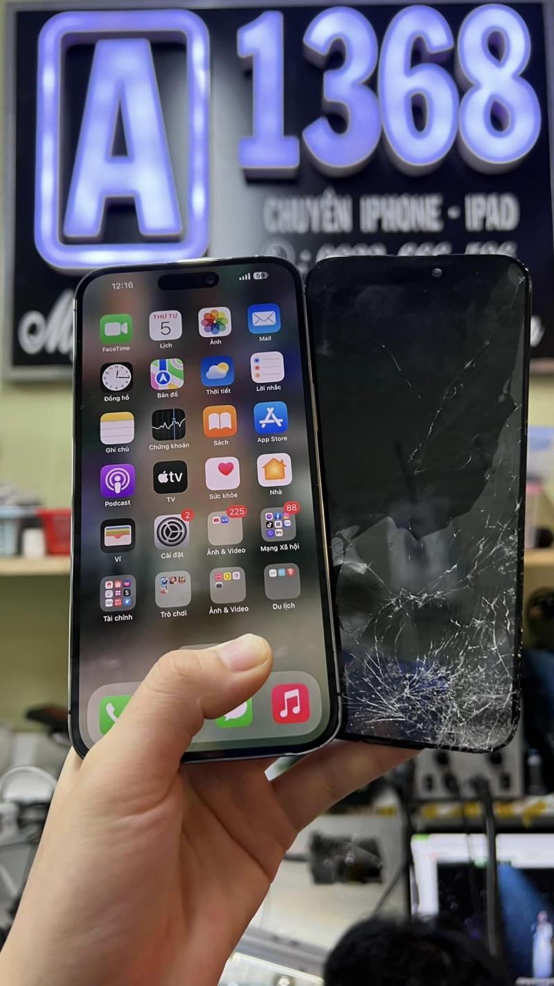 Apple 1368