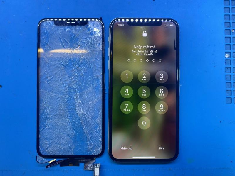 APPLE 1368