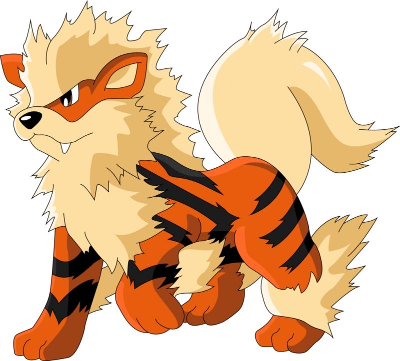 Arcanine﻿