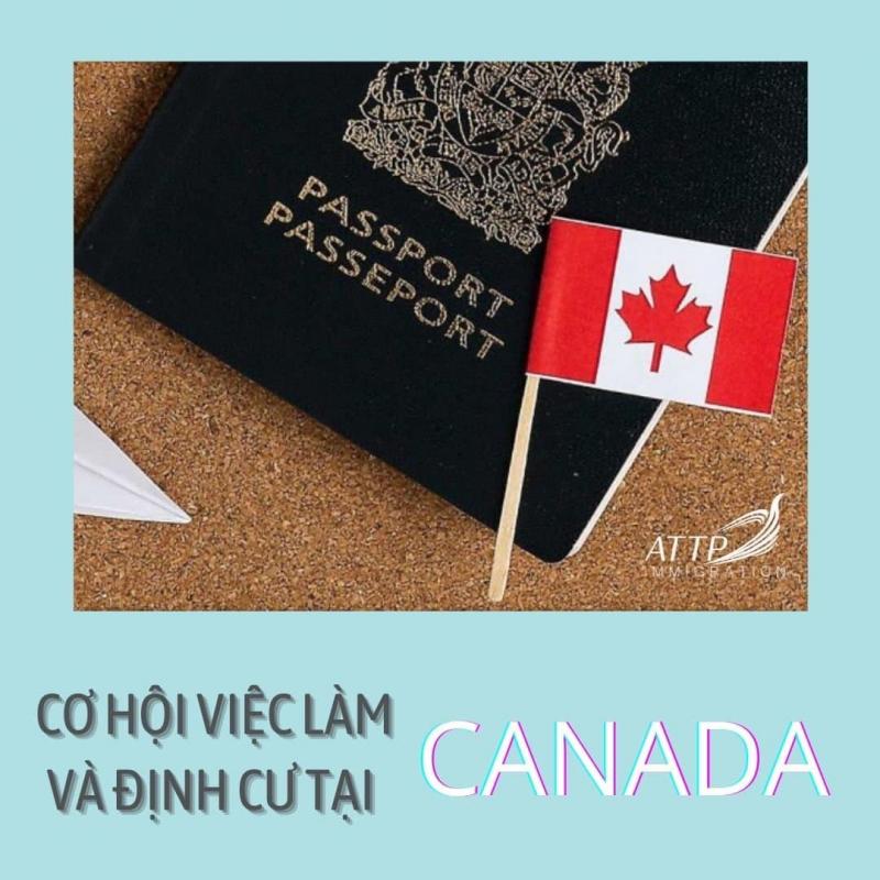 ATTP Immigration