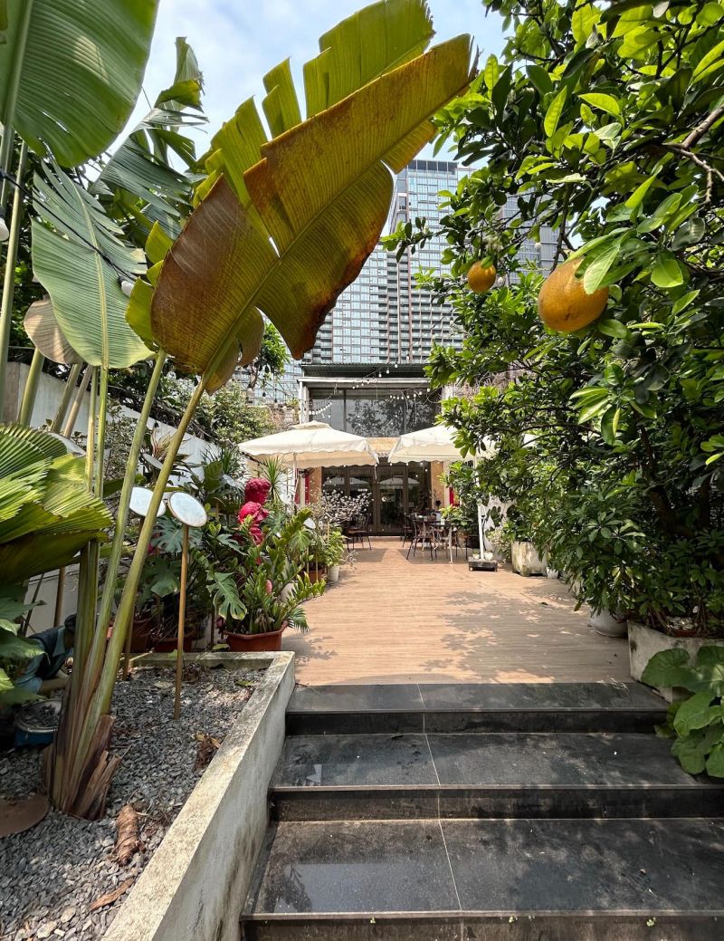 Avos and Mango Coffee Shop