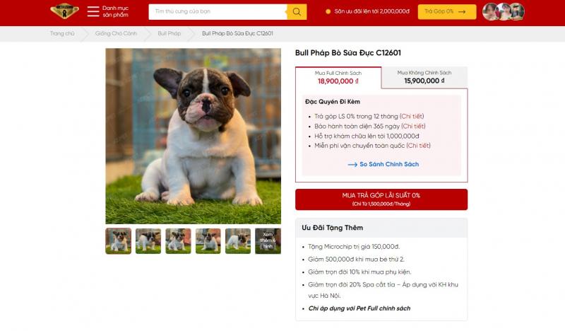 Bull Pháp tại AZPET