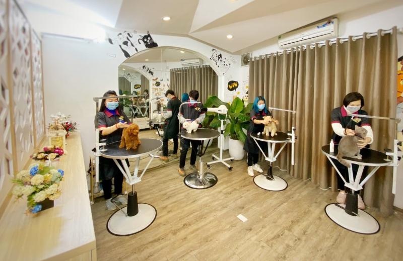 Phòng Grooming tại Azpet Spa