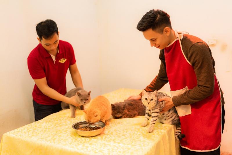 Azpet Shop